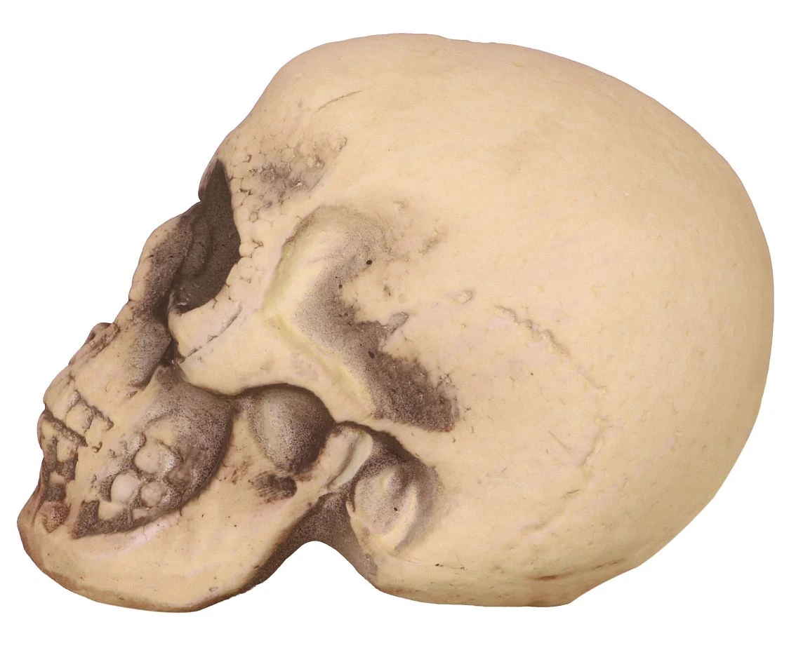Czaszka piankowa, 20 cm