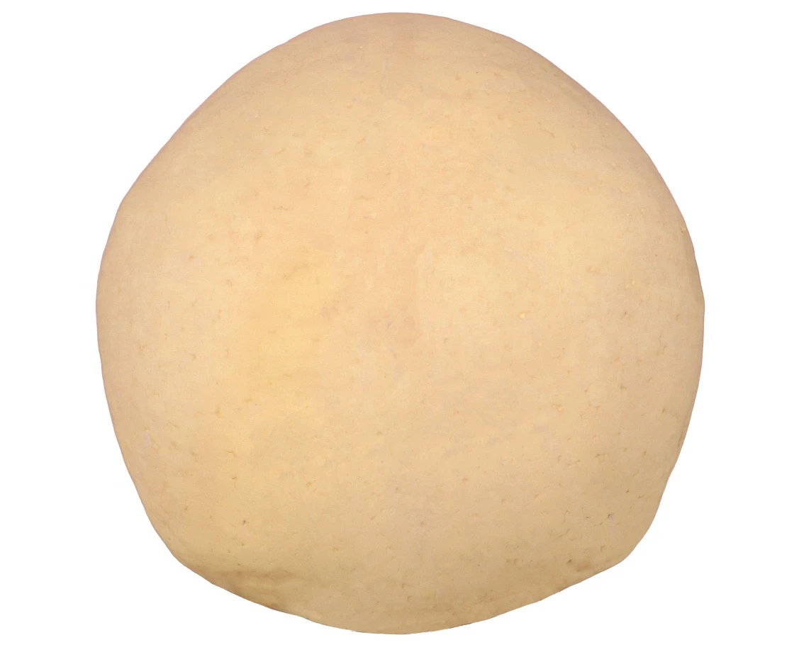 Czaszka piankowa, 20 cm