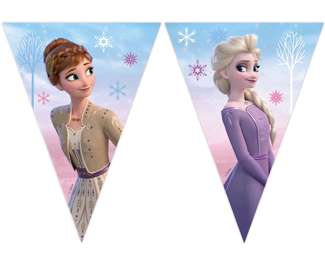 Banner Frozen 2: Wind Spirit, flagi (papier FSC) KK