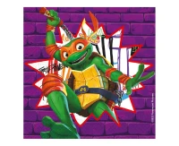 Serwetki papierowe Teenage Mutant Ninja Turtle Nickelodeon, 33x33 cm, 20 szt. (papier FSC) KK