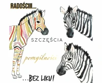 Kartka okolicznościowa KW ZEBRY, 1 szt.