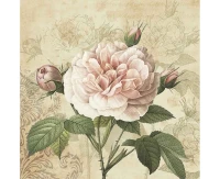 Serwetki papierowe Vintage Rose with Buds, 33 x 33 cm,  20 szt.