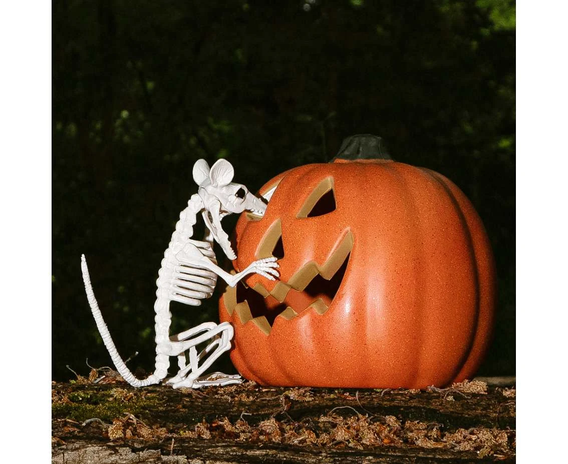 Dynia halloweenowa (20cm)