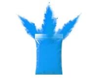 Proszek holi niebieski (70g)