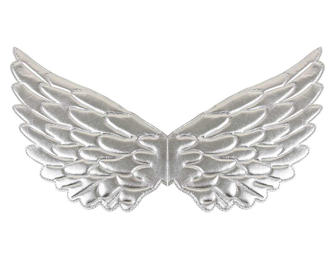Skrzydła srebrne (45,3 x 21 cm) KK