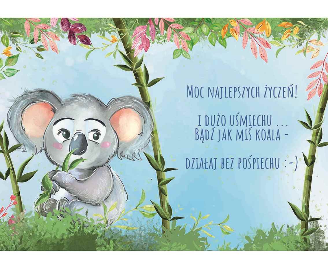 Kartka okolicznościowa A5 KOALA 1 szt.